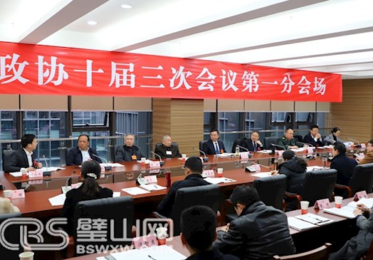 藍(lán)慶華秦文敏向邦俊參加政協(xié)分組討論