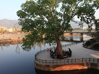 觀音塘濕地公園