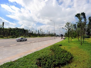 新區(qū)大道展靚容