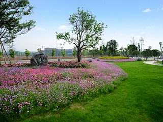 登云公園