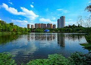 觀音塘濕地公園